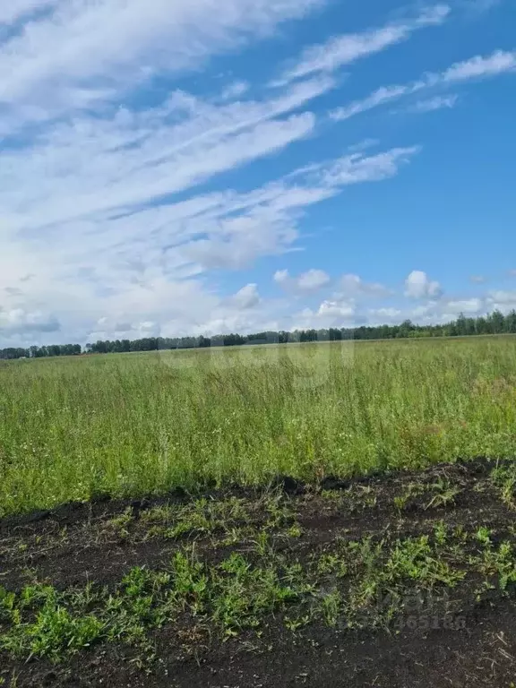 Участок в Мордовия, Лямбирский район, Пензятское с/пос, с. Пензятка  ... - Фото 2