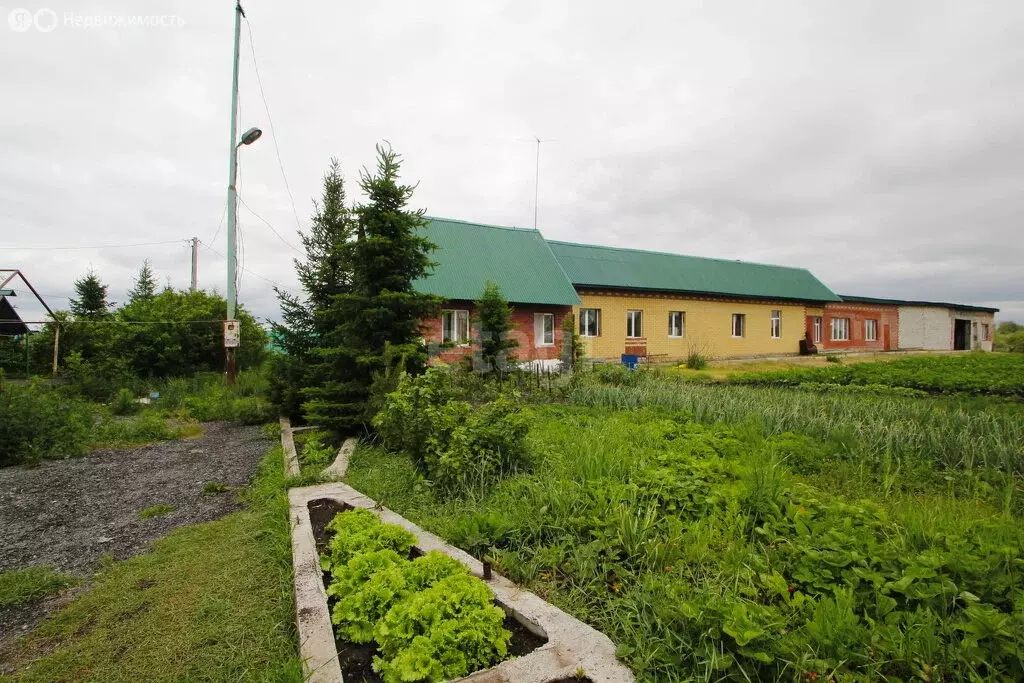 Дом в Тюменская область, Ялуторовский муниципальный округ, деревня ... - Фото 2
