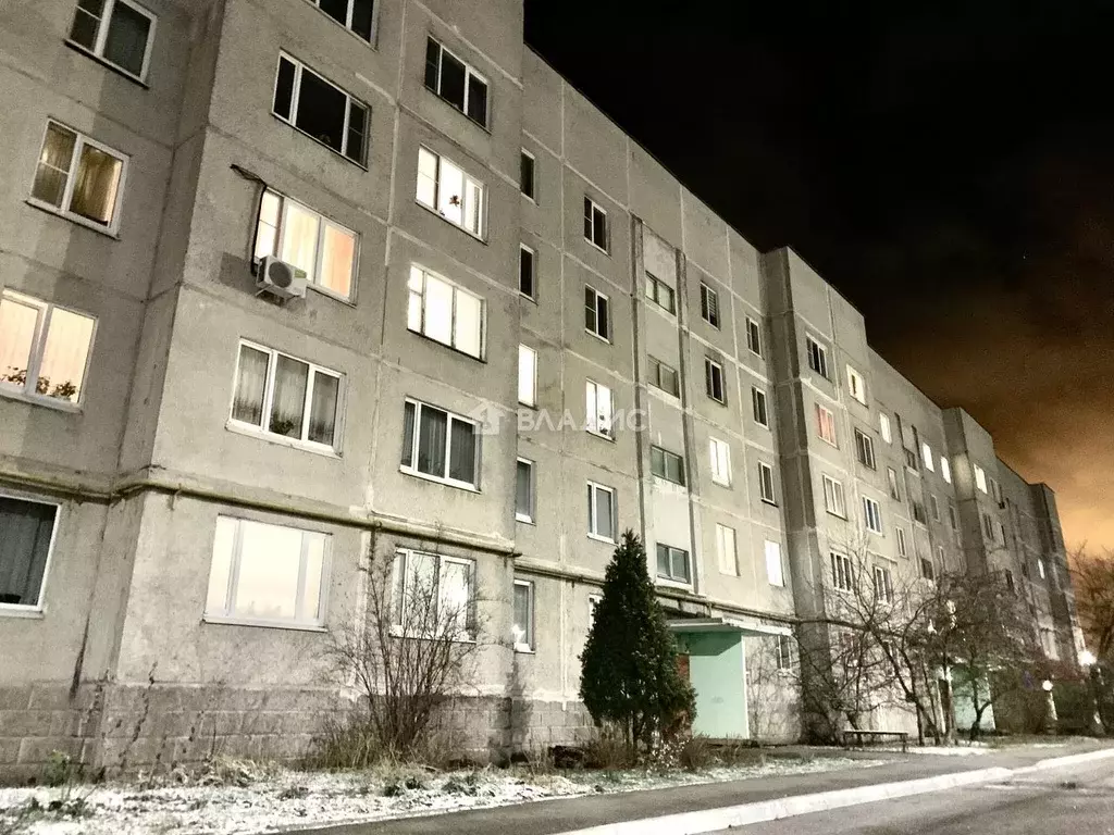 3-к кв. Московская область, Раменский муниципальный округ, пос. Дружба ... - Фото 2