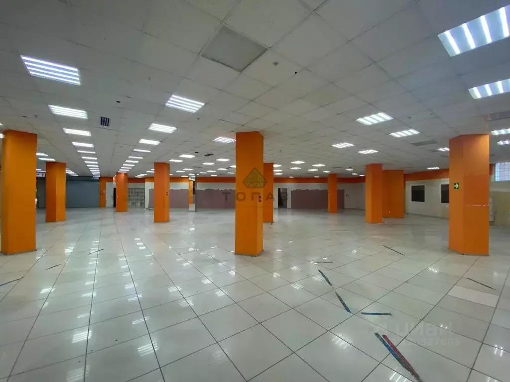 Помещение свободного назначения в Воронежская область, Воронеж ул. ... - Фото 1