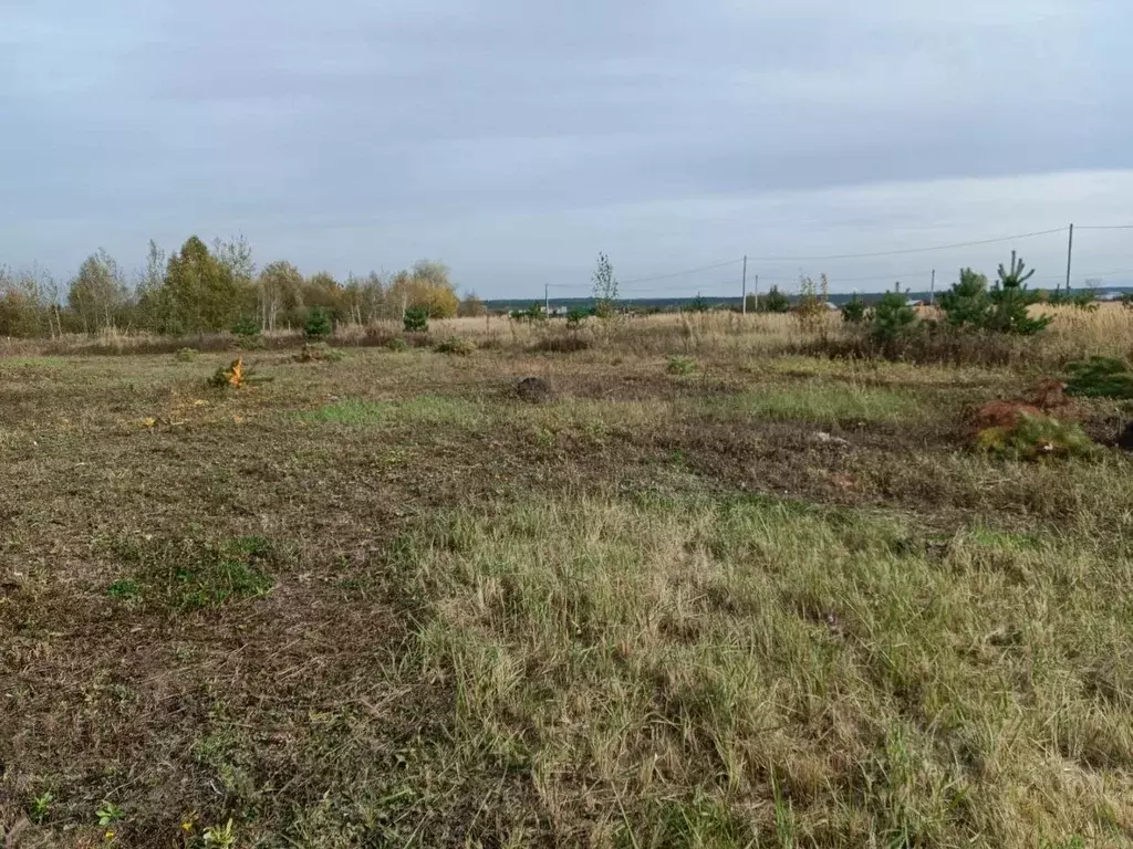 Участок в Тамбовская область, Тамбовский муниципальный округ, пос. ... - Фото 0