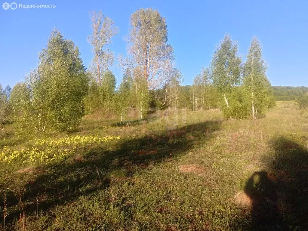 Участок в село Красноусольский, Тихая улица (10 м) - Фото 2