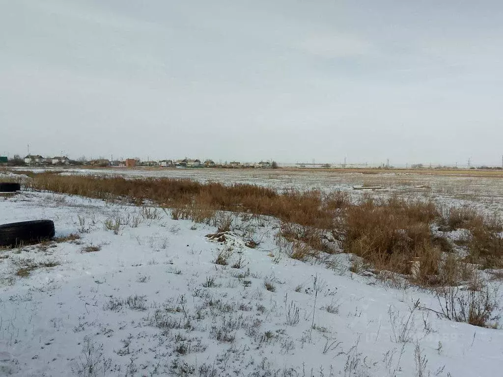 Участок в Саратовская область, Балаковский район, Быково-Отрогское ... - Фото 1