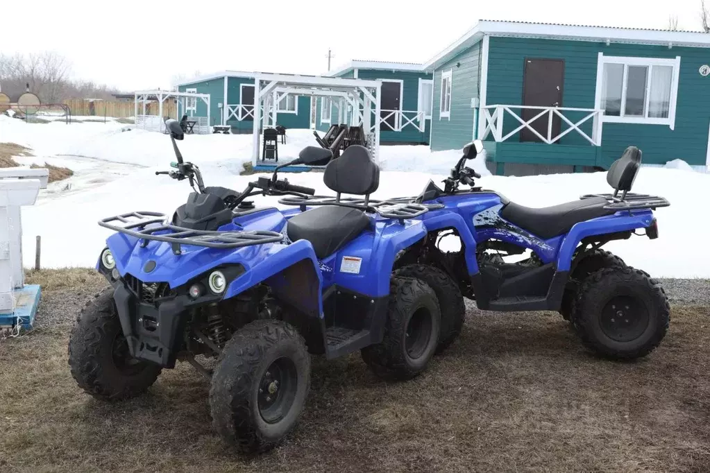 Дом в Татарстан, Алексеевский район, Лебединское с/пос, с. Лебедино  ... - Фото 1