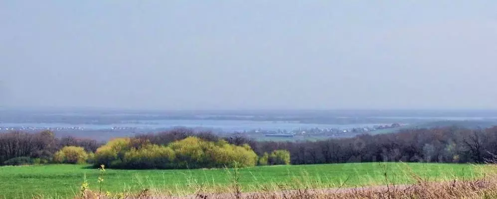 Участок в Саратовская область, д. Новая Липовка ул. Новая (15.0 сот.) - Фото 2
