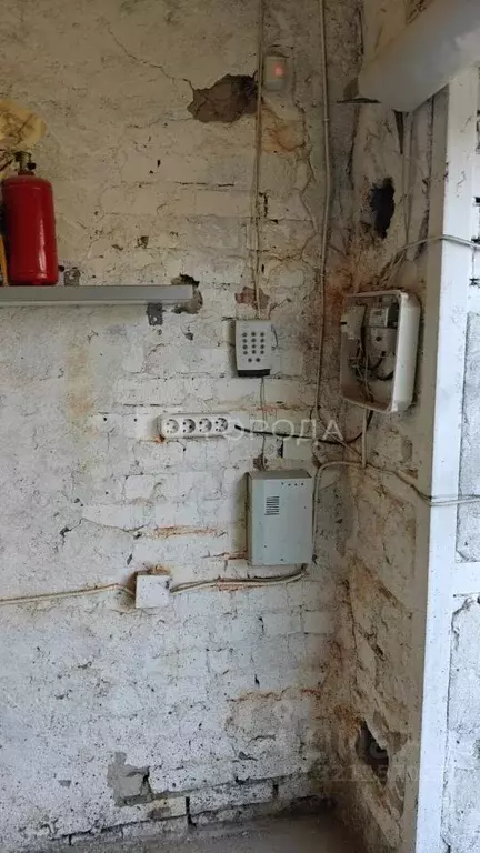 Помещение свободного назначения в Новосибирская область, Новосибирск ... - Фото 2