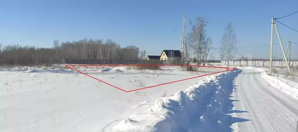 Участок в Курганская область, Кетовский муниципальный округ, с. Новая ... - Фото 1