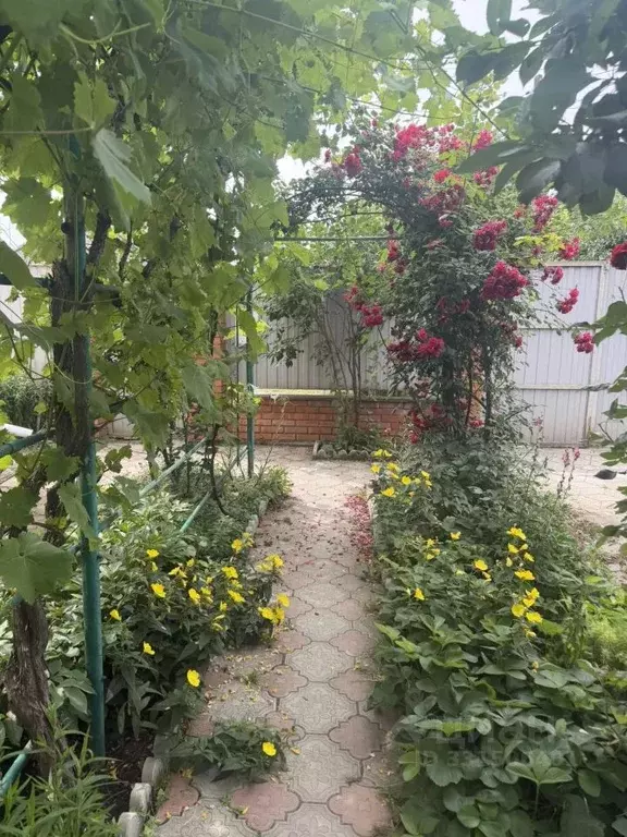Дом в Краснодарский край, Тимашевск ул. Калинина, 28 (90 м) - Фото 1