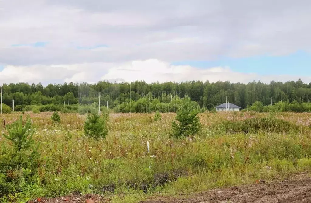 Участок в Тюменская область, Тюменский район, с. Кулига ул. ... - Фото 0