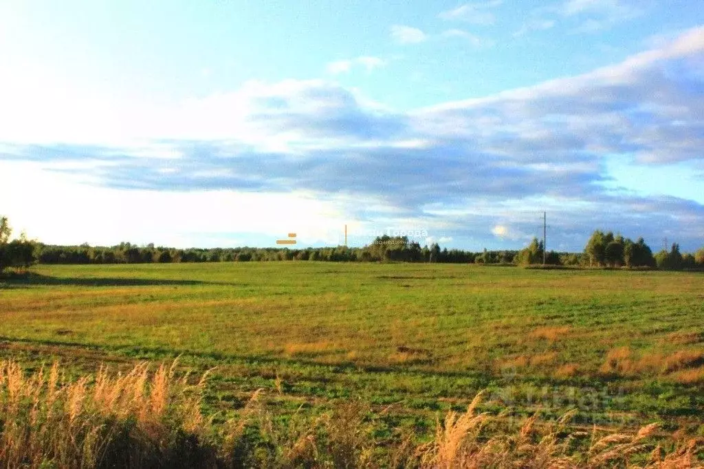 Участок в Брянская область, Дубровский район, Рябчинское с/пос, д. ... - Фото 1