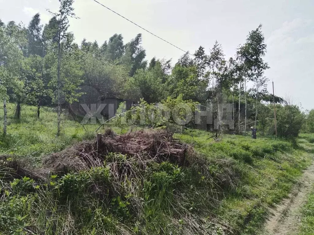 Участок 8 сот. (СНТ, ДНП) - Фото 1