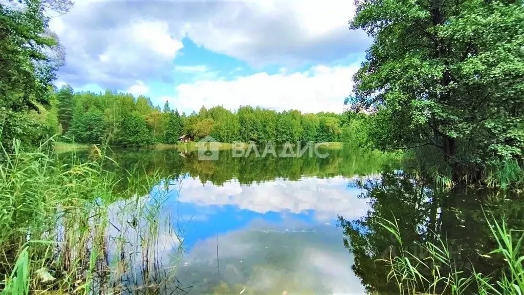 Участок в Владимирская область, Судогодский район, пос. Муромцево ул. ... - Фото 0