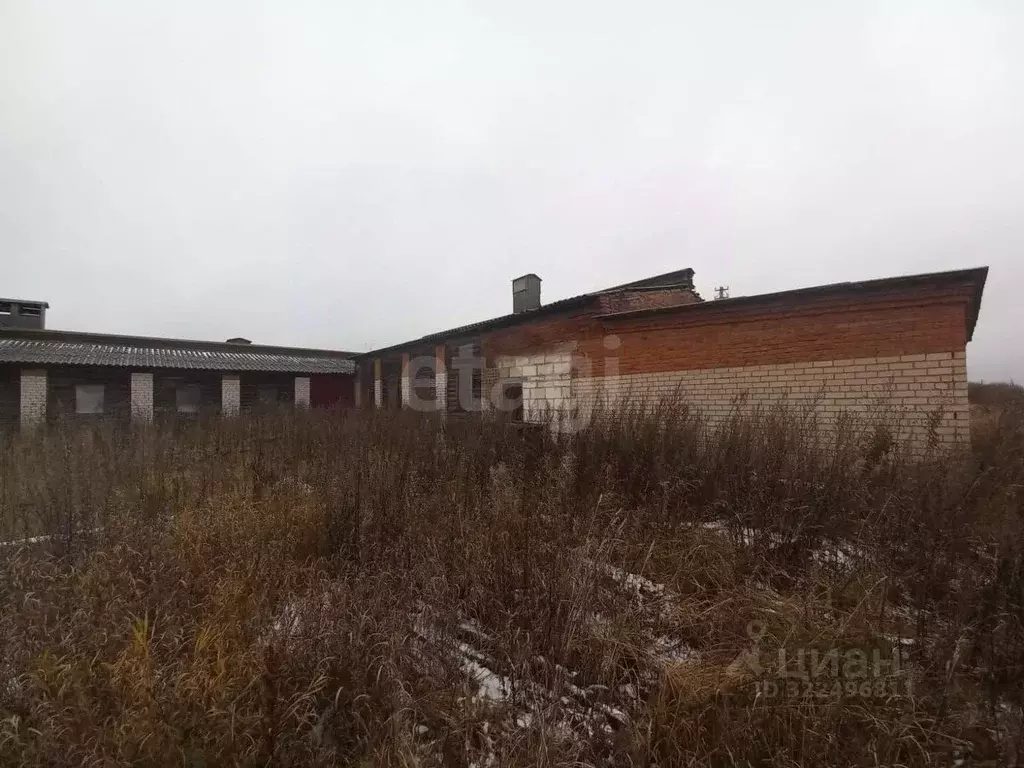 Склад в Вологодская область, Белозерский муниципальный округ, д. ... - Фото 1