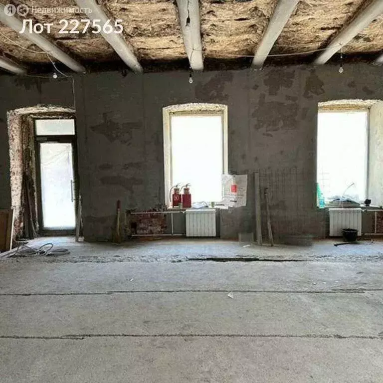 Помещение свободного назначения (253 м) - Фото 2