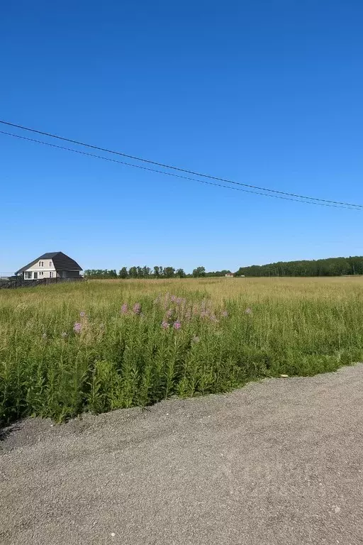 Участок в Московская область, Раменский муниципальный округ, д. ... - Фото 1
