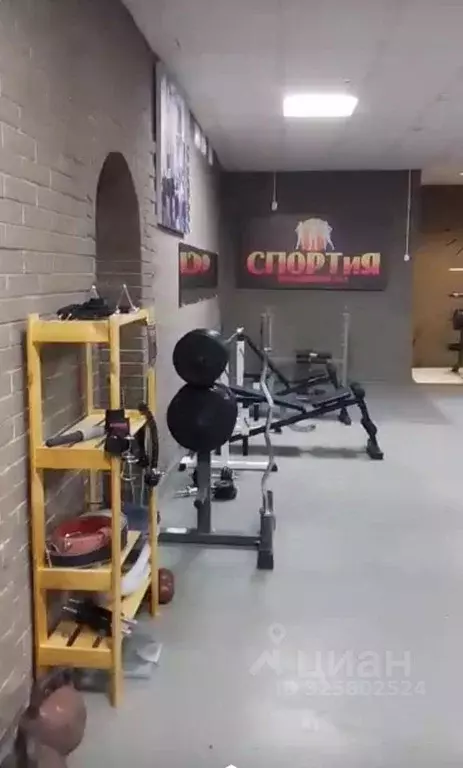 Помещение свободного назначения в Амурская область, Зея Народная ул., ... - Фото 1