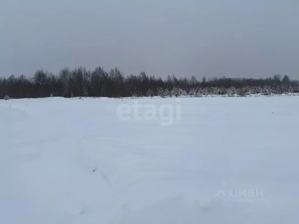 Участок в Свердловская область, Нижний Тагил ул. 1-я Звездная, 39 ... - Фото 1