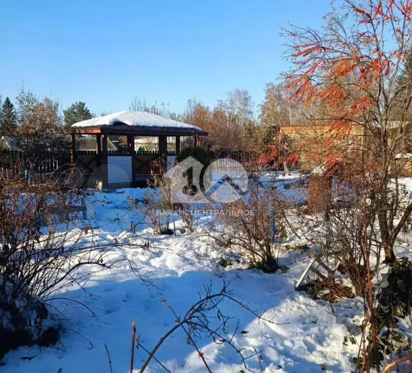 Дом в Новосибирская область, Новосибирск Березовая Роща СТ, 229 (43 м) - Фото 1