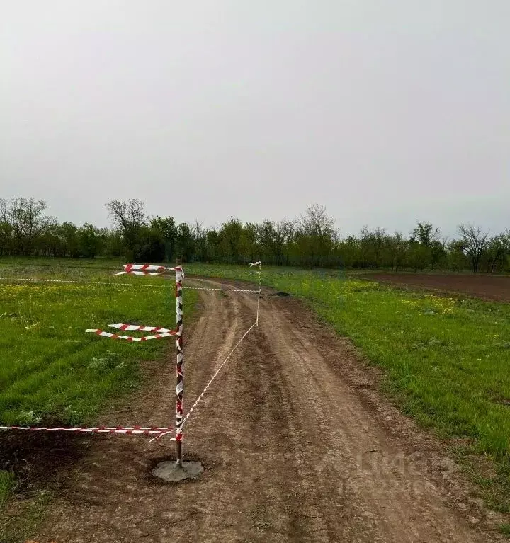 Участок в Ростовская область, Новочеркасск ул. К.А. Кирсты (6.0 сот.) - Фото 2