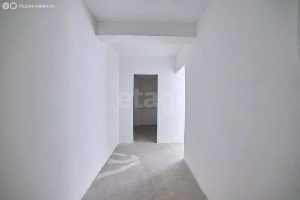 1-комнатная квартира: село Наумовка, улица Ленина, 47 (28.5 м) - Фото 2