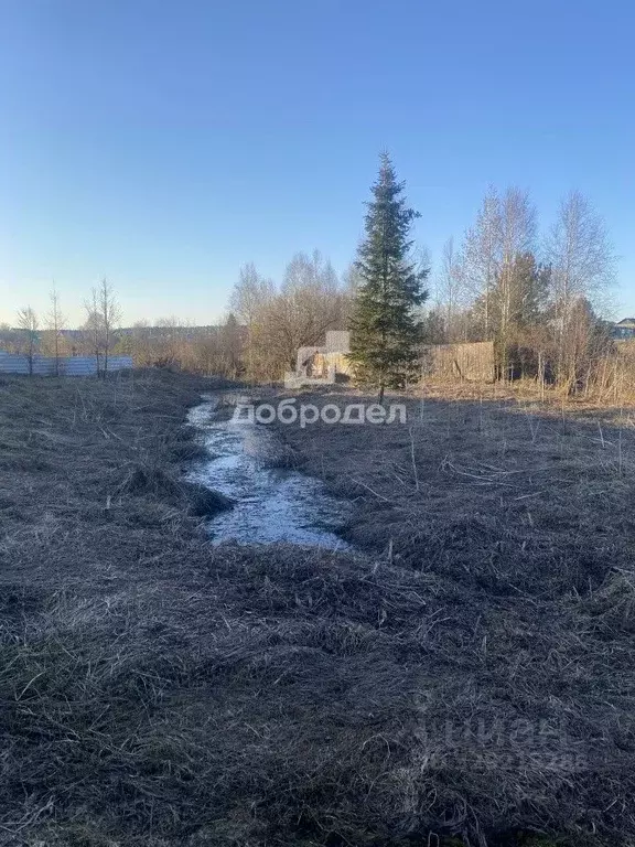 Дом в Свердловская область, Нижнесергинский район, Дружининское ... - Фото 2