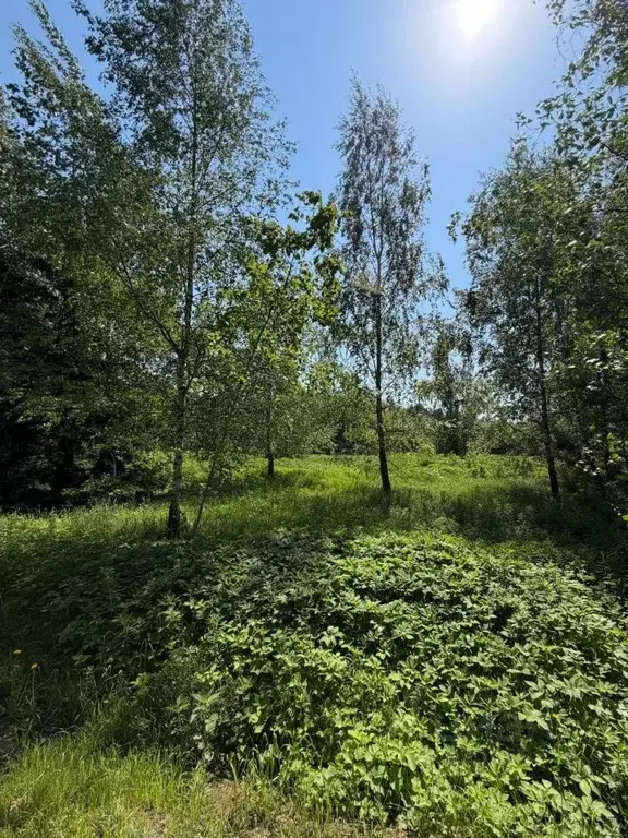Участок в Московская область, Одинцовский городской округ, д. Бородки ... - Фото 1