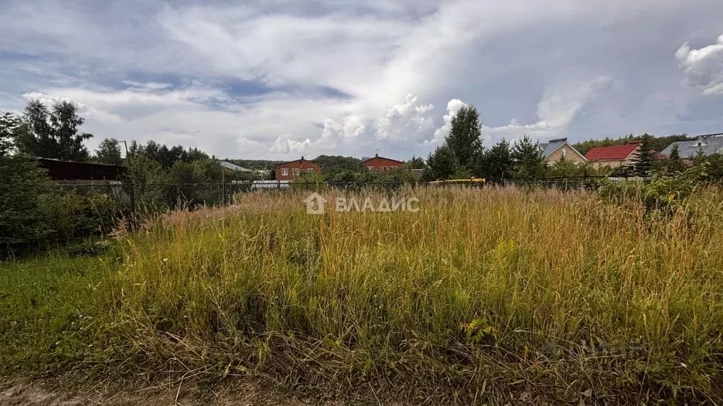 Участок в Нижегородская область, Богородский муниципальный округ, д. ... - Фото 1