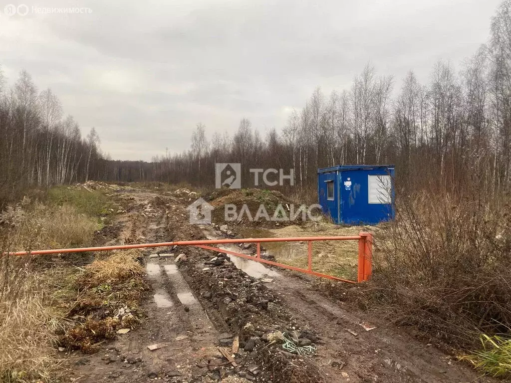 Участок в Московская область, городской округ Щёлково, СНТ Вектор-1 (6 ... - Фото 1