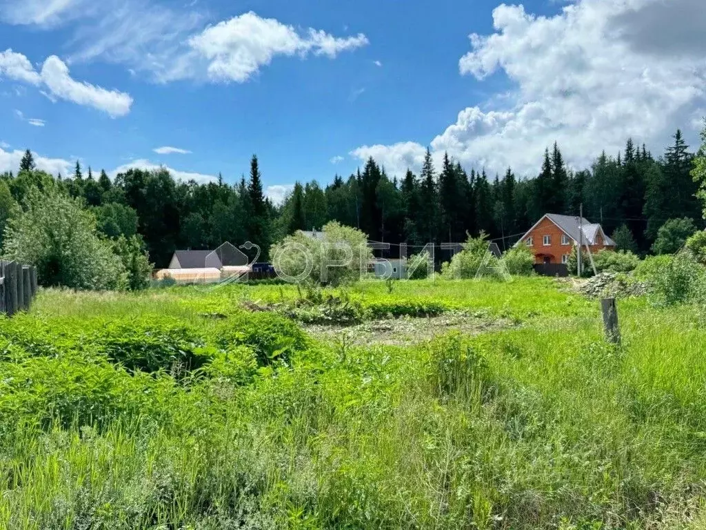 Участок в Тюменская область, Нижнетавдинский район, с. Тюнево ... - Фото 1