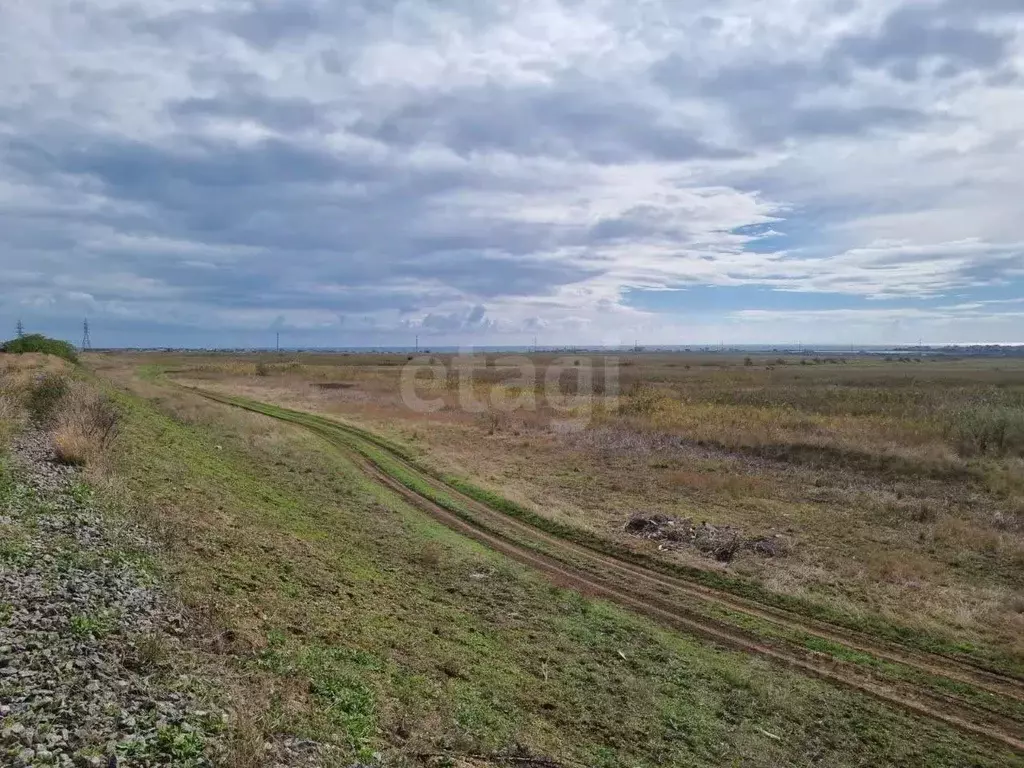 Участок в Крым, Кировский район, с. Синицыно ул. Евдокимова (2812.0 ... - Фото 1