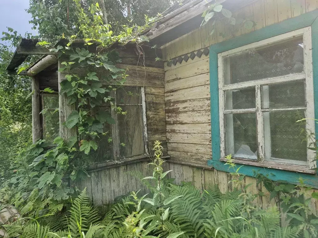 Дом в Псковская область, Псков Лопатино исторический район, ул. ... - Фото 2