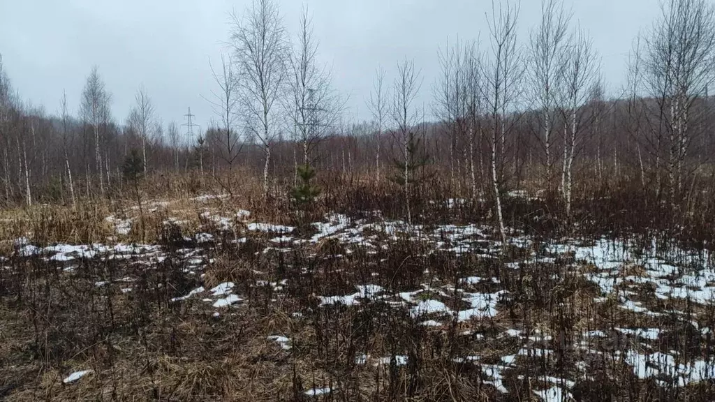 Участок в Московская область, Домодедово городской округ, с. ... - Фото 1