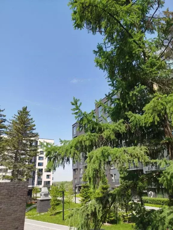 2-к кв. Новосибирская область, Новосибирск Дачное ш., 15 (43.2 м) - Фото 0