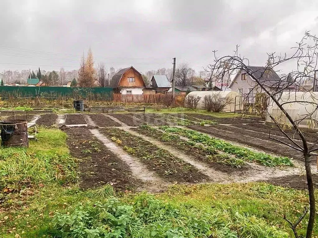 Дом в Новосибирская область, Новосибирский район, Барышевский ... - Фото 1