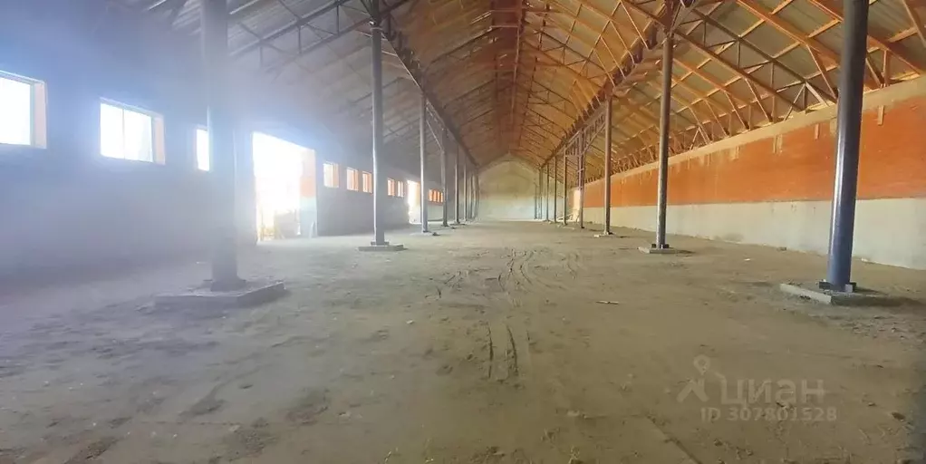 Помещение свободного назначения в Краснодарский край, Динской район, ... - Фото 2