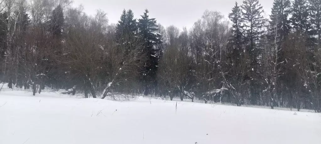 Участок в Московская область, Коломна городской округ, с. Сеньково  ... - Фото 1