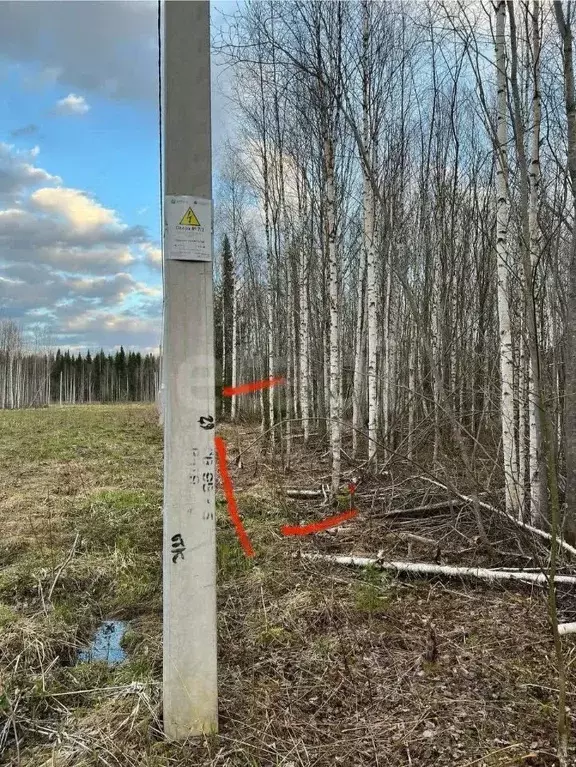 Участок в Коми, Сыктывкар Емваль мкр,  (14.0 сот.) - Фото 2