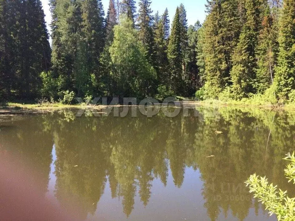 Дом в Томская область, Томский район, д. Казанка ул. Солнечная (52 м) - Фото 1