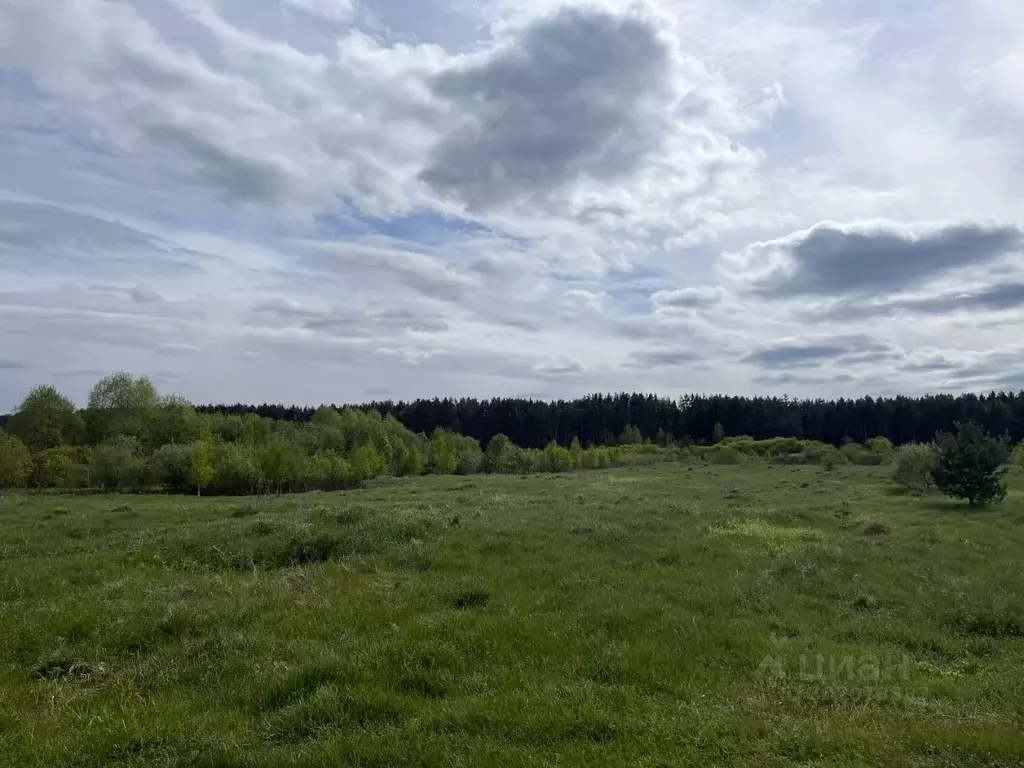 Участок в Тверская область, Калининский муниципальный округ, д. ... - Фото 1