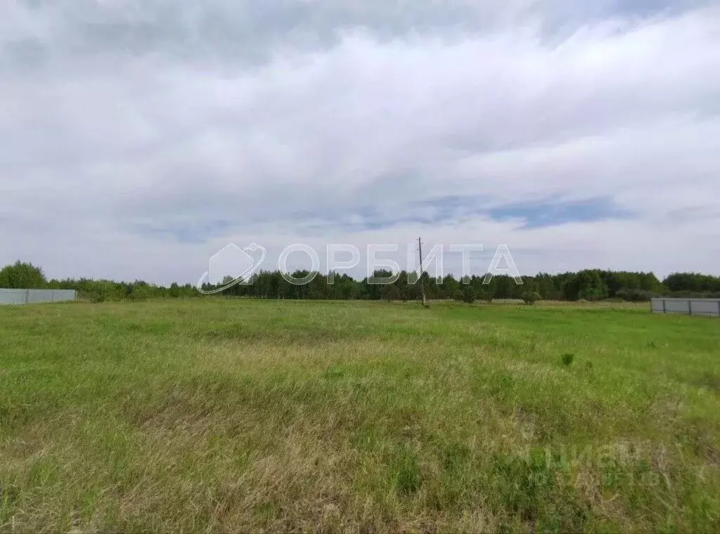 Участок в Тюменская область, Нижнетавдинский муниципальный округ, ... - Фото 1