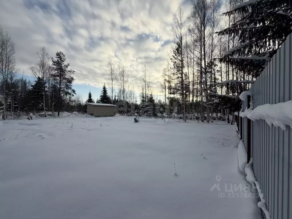 Участок в Ленинградская область, Гатчинский муниципальный округ, ... - Фото 1