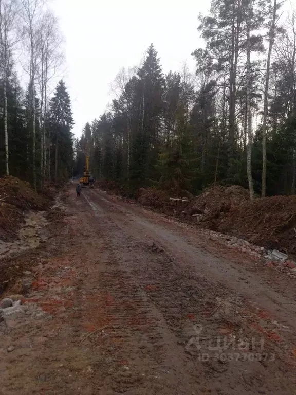 Участок в Ленинградская область, Приозерский район, Сосновское с/пос, ... - Фото 0