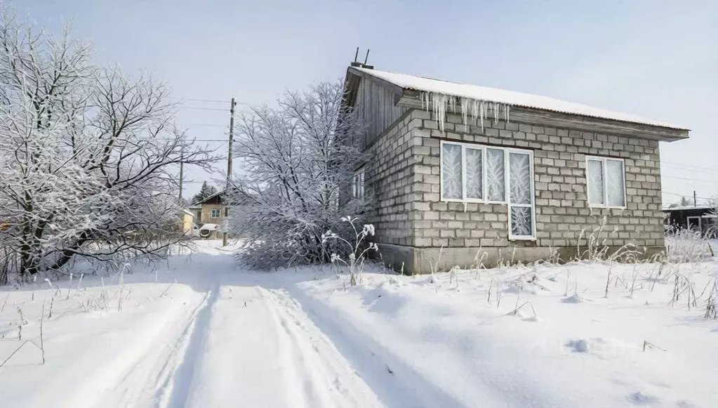 Дом в Сахалинская область, Анивский городской округ, с. Мицулевка ул. ... - Фото 1