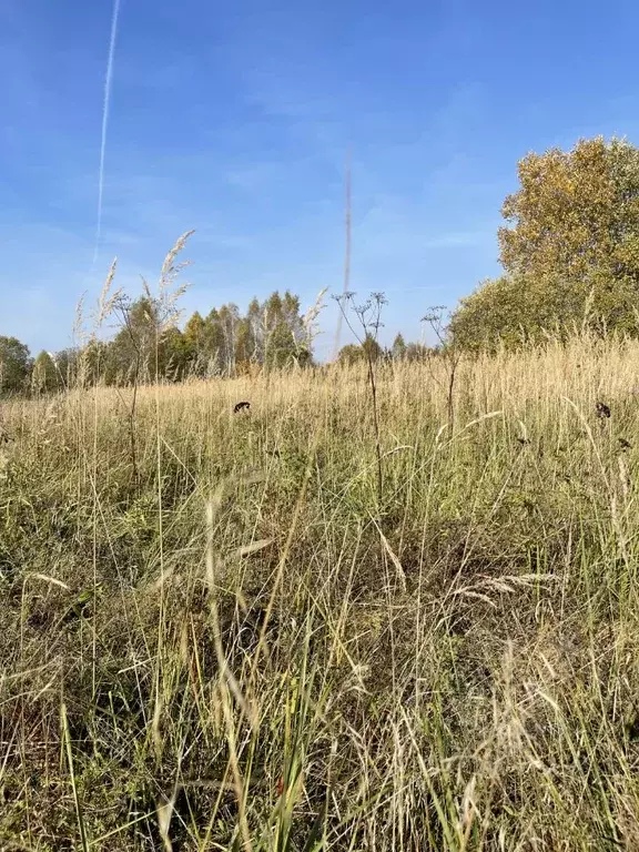 Участок в Белгородская область, Старооскольский городской округ, с. ... - Фото 0