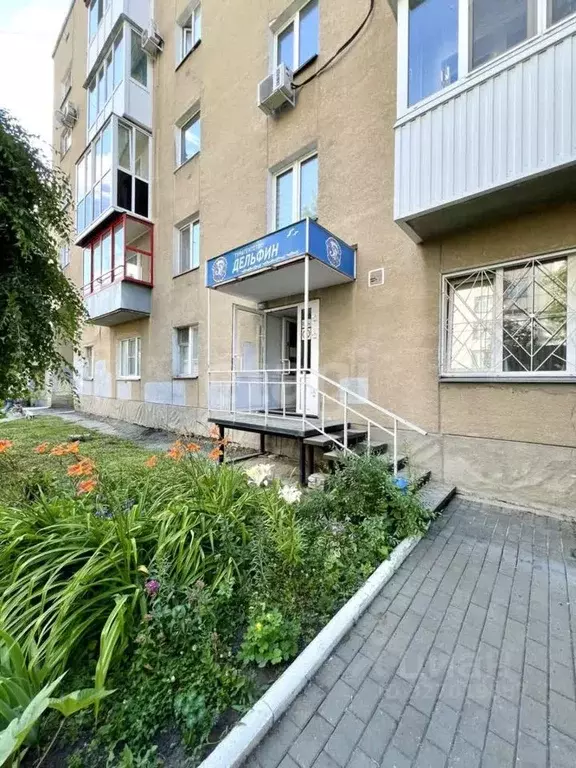 Торговая площадь в Курганская область, Курган ул. Красина, 43 (37 м) - Фото 1