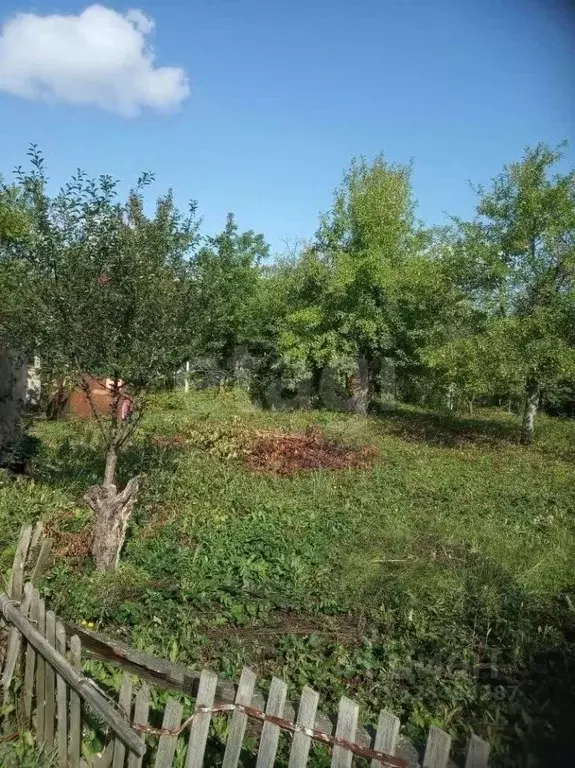 Участок в Мордовия, Саранск 50 лет Октября СНТ, 58 (5.2 сот.) - Фото 2