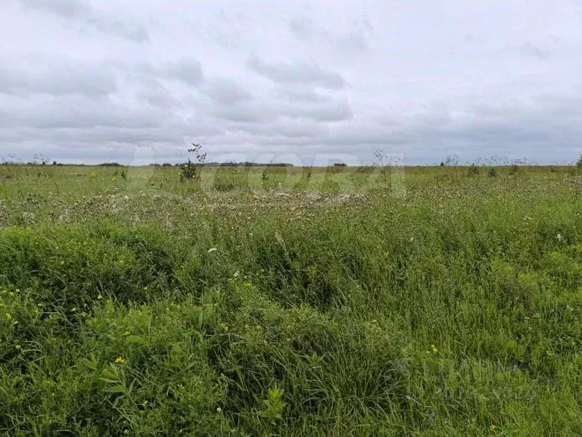 Участок в Тюменская область, Тюменский район, с. Ембаево  (8.95 сот.) - Фото 0