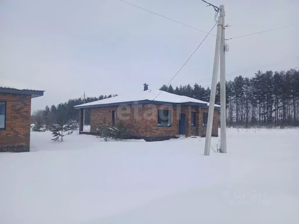 Дом в Башкортостан, Уфа городской округ, с. Нагаево ул. Спутниковая ... - Фото 1