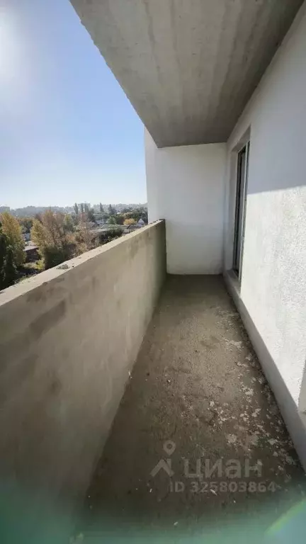 1-к кв. Саратовская область, Энгельс Вокзальная ул., 52 (52.0 м) - Фото 2