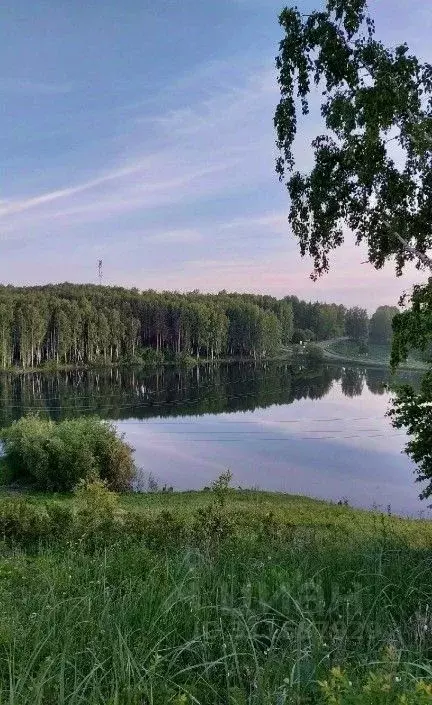 Дом в Томская область, Томский район, Богашевское с/пос, с. Богашево ... - Фото 0